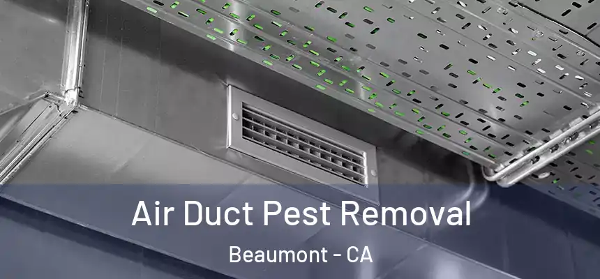  Air Duct Pest Removal Beaumont - CA