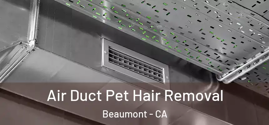  Air Duct Pet Hair Removal Beaumont - CA