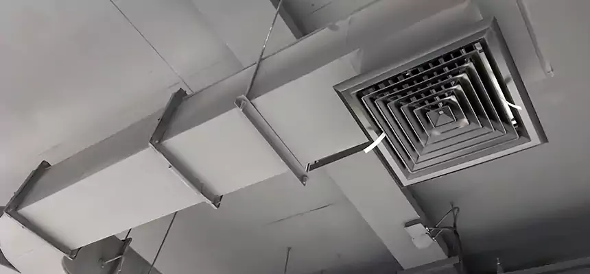 Restorative Allergy Relief Vent Cleaning – Coil, Blower & Housing Detail in Beaumont