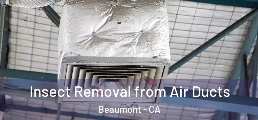 Insect Removal from Air Ducts Beaumont - CA