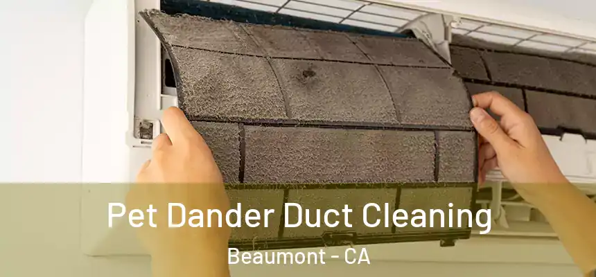 Pet Dander Duct Cleaning Beaumont - CA