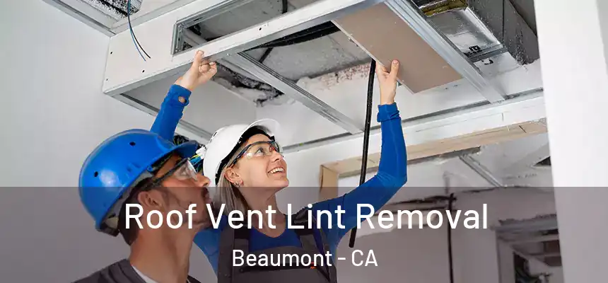 Roof Vent Lint Removal Beaumont - CA