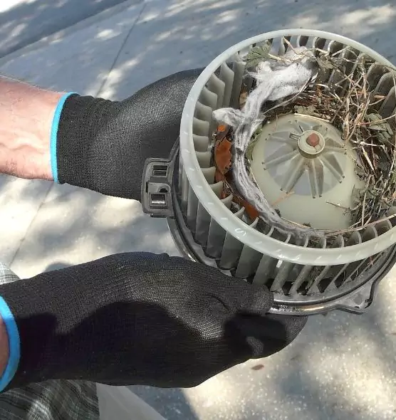 About Air Duct Mice Removal in Beaumont, CA