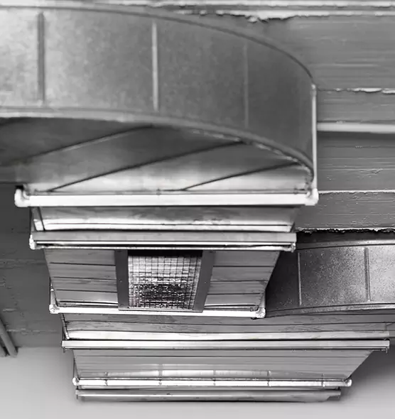 Professional Air Duct Pest Removal in Beaumont, CA