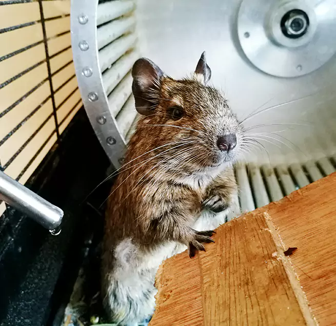 Why Homeowners & Businesses Trust Us Beaumont, CA?