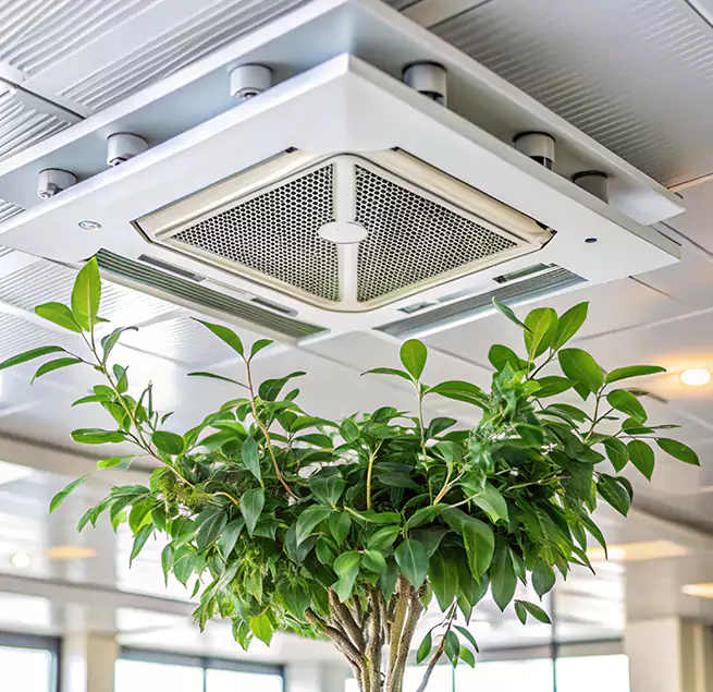 Why Homeowners & Businesses Trust Us in Beaumont, CA?